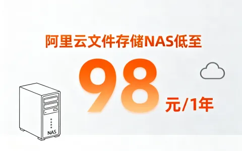 阿里云文件存储NAS优惠活动，100GiB低至98.99元/年