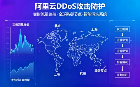 阿里云DDoS防护太贵了？达到怎样的DDoS攻击规模才值得购买？