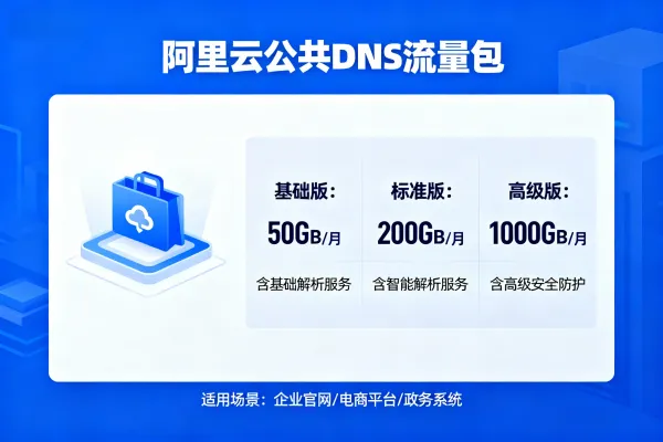 阿里云公共DNS流量包：1000万次解析1年仅需30元！