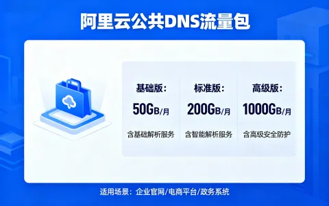 阿里云公共DNS流量包：1000万次解析1年仅需30元！