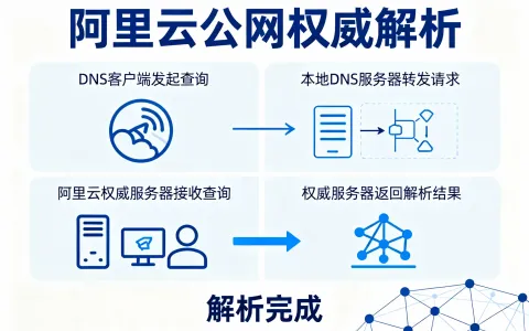 阿里云公网权威解析个人版和旗舰版区别以及收费标准详解