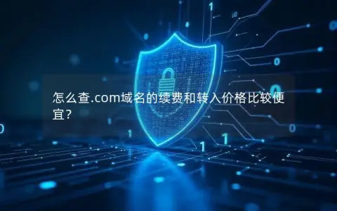 怎么查.com域名的续费和转入价格比较便宜? 怎么查.com域名的续费和转入价格比较便宜?