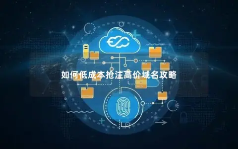 如何低成本抢注高价域名攻略
