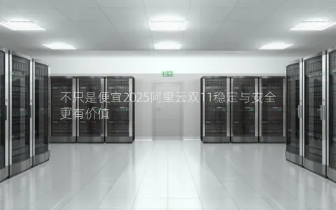 不只是便宜2025阿里云双11稳定与安全更有价值