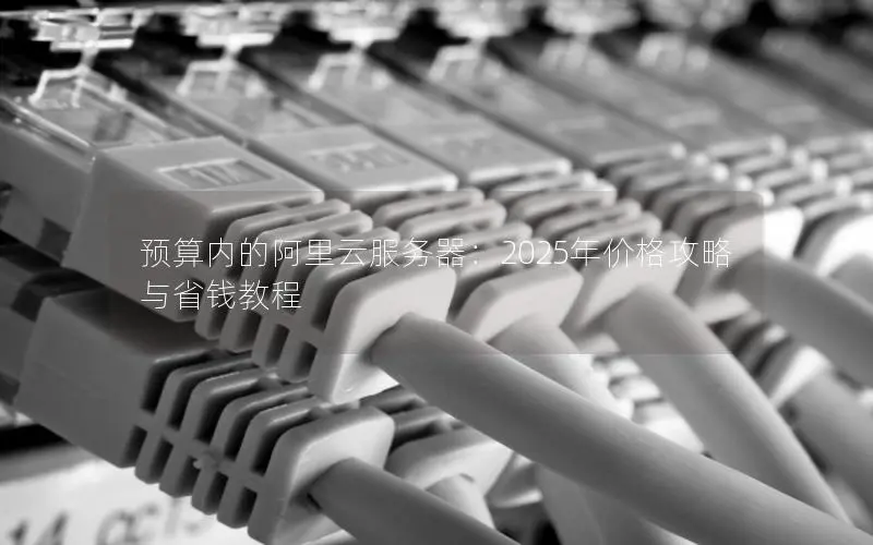 预算内的阿里云服务器:2025年价格攻略与省钱教程 预算内的阿里云服务器:2025年价格攻略与省钱教程
