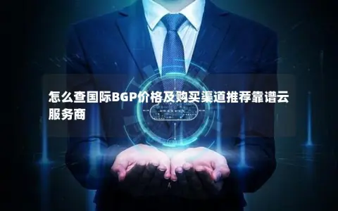 怎么查国际BGP价格及购买渠道推荐靠谱云服务商