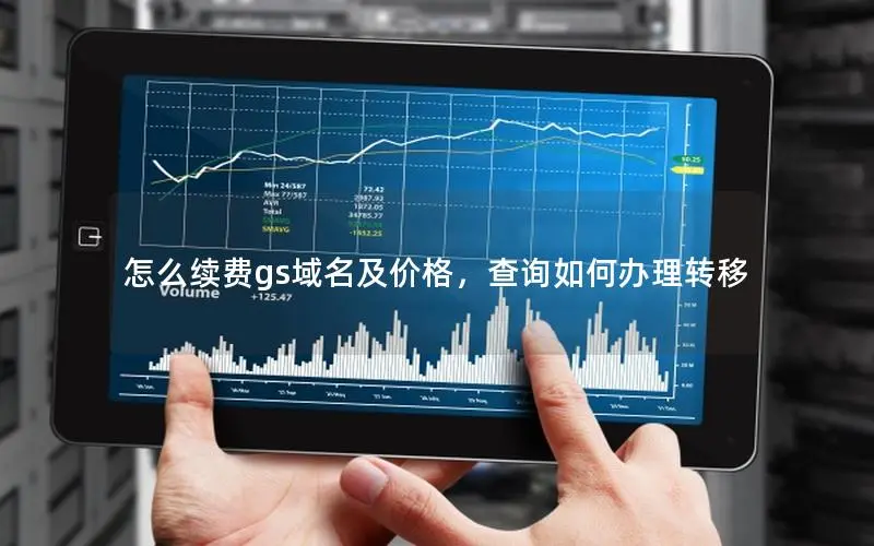 怎么续费gs域名及价格,查询如何办理转移 怎么续费gs域名及价格,查询如何办理转移