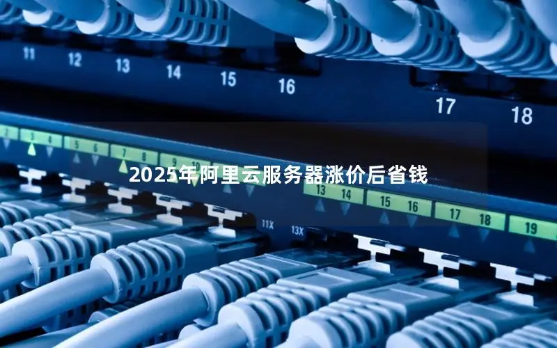 2025年阿里云服务器涨价后省钱 2025年阿里云服务器涨价后省钱