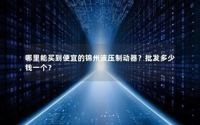 哪里能买到便宜的锦州液压制动器?批发多少钱一个? 哪里能买到便宜的锦州液压制动器?批发多少钱一个?