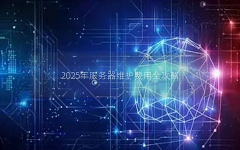 2025年服务器维护费用全攻略
