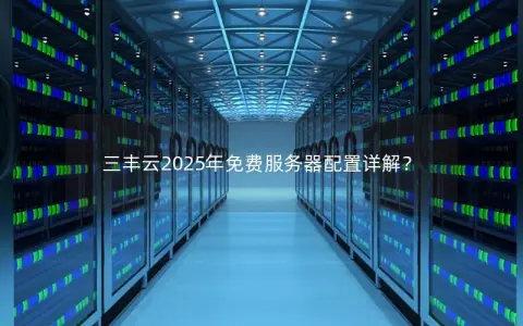 三丰云2025年免费服务器配置详解？