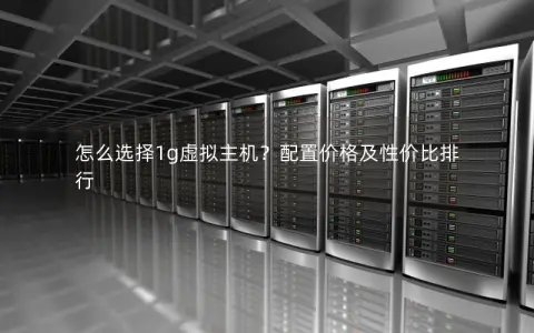 怎么选择1g虚拟主机？配置价格及性价比排行