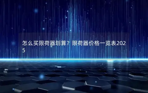 怎么买限荷器划算？限荷器价格一览表2025