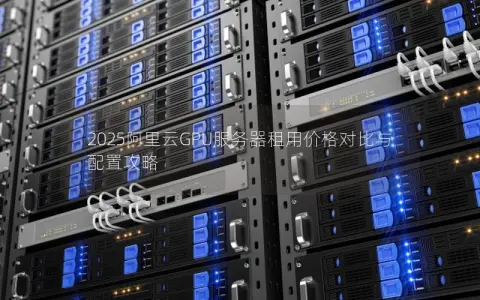 2025阿里云GPU服务器租用价格对比与配置攻略