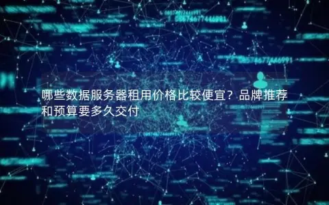 哪些数据服务器租用价格比较便宜？品牌推荐和预算要多久交付