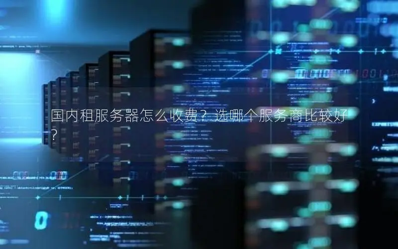 国内租服务器怎么收费？选哪个服务商比较好？