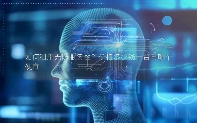 如何租用无防服务器？价格多少钱一台与哪个便宜