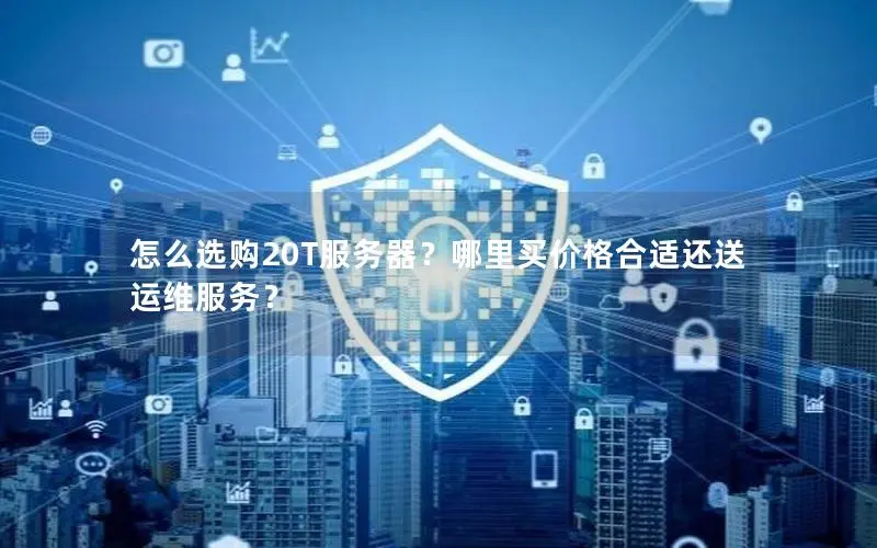 怎么选购20T服务器？哪里买价格合适还送运维服务？