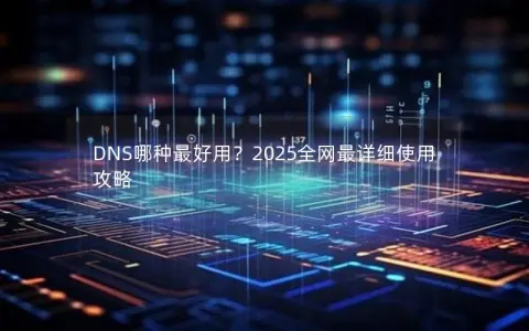 DNS哪种最好用？2025全网最详细使用攻略