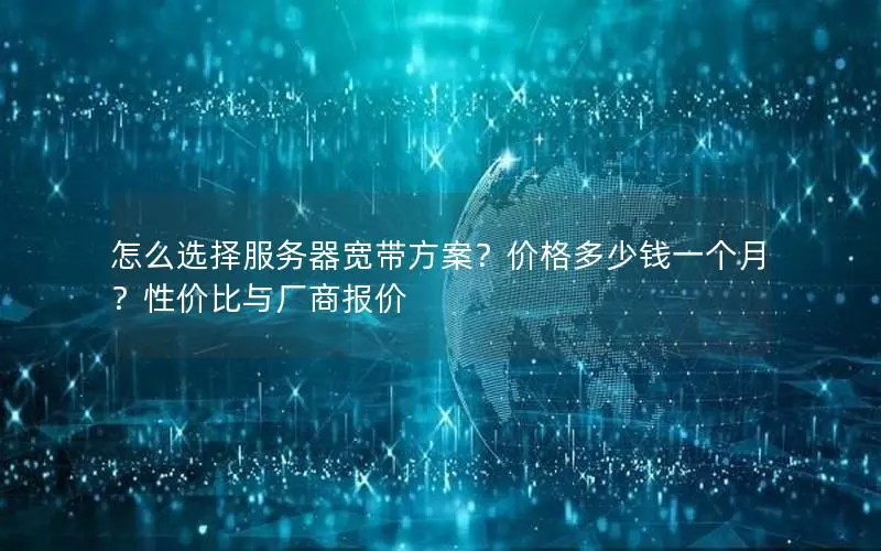 怎么选择服务器宽带方案?价格多少钱一个月?性价比与厂商报价 怎么选择服务器宽带方案?价格多少钱一个月?性价比与厂商报价