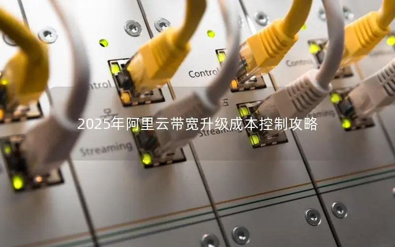 2025年阿里云带宽升级成本控制攻略 2025年阿里云带宽升级成本控制攻略