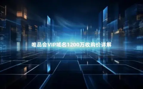 唯品会VIP域名1200万收购价详解