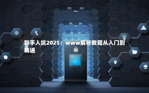 新手入坑2025：www解析教程从入门到精通