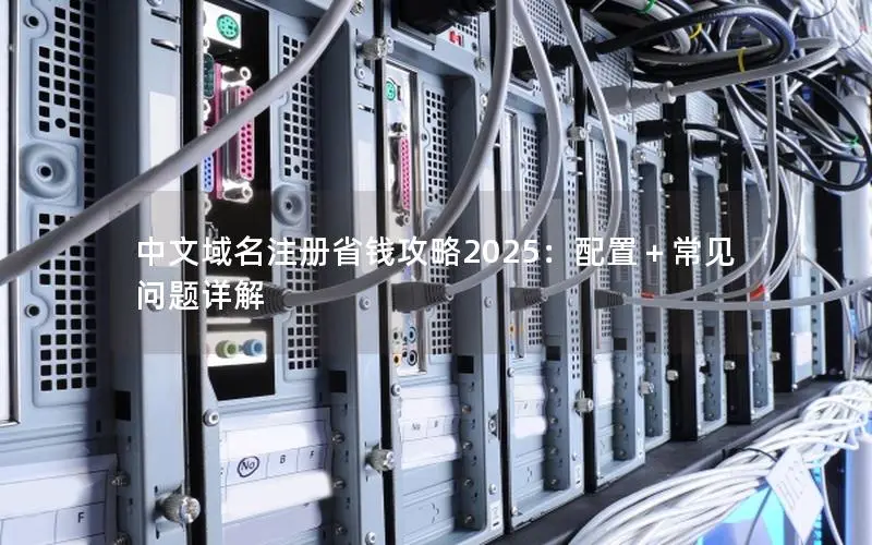中文域名注册省钱攻略2025:配置+常见问题详解 中文域名注册省钱攻略2025:配置+常见问题详解