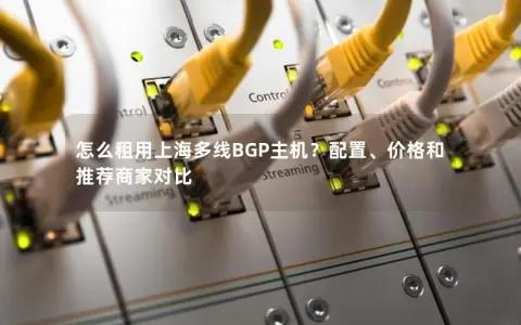 怎么租用上海多线BGP主机？配置、价格和推荐商家对比