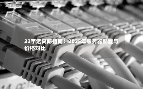22字选高防指南：2025年服务器配置与价格对比