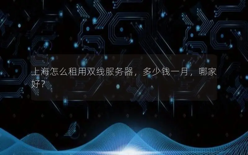 上海怎么租用双线服务器，多少钱一月，哪家好？