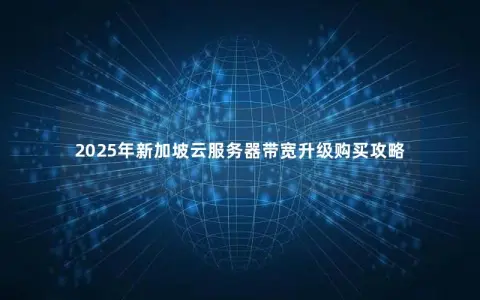 2025年新加坡云服务器带宽升级购买攻略