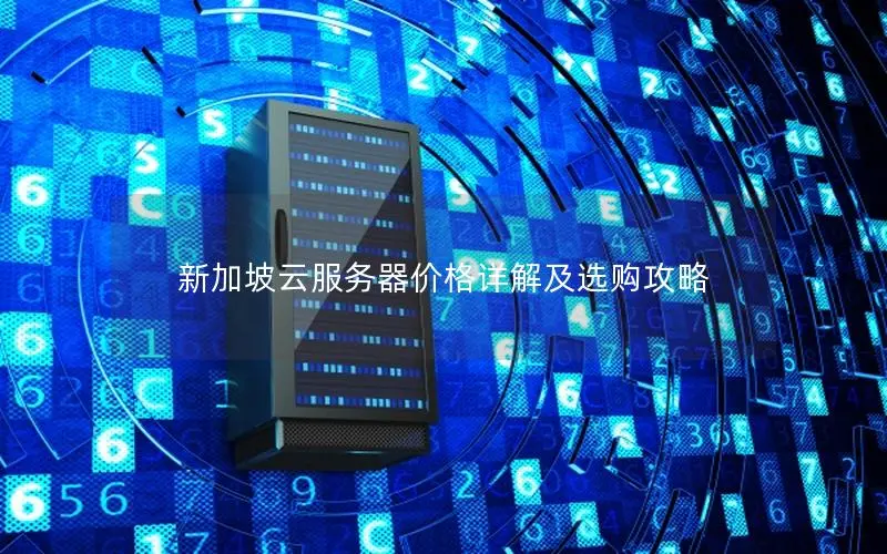 新加坡云服务器价格详解及选购攻略 新加坡云服务器价格详解及选购攻略