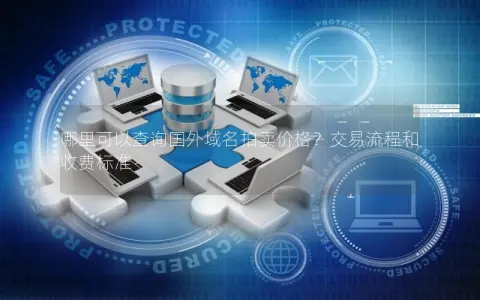 哪里可以查询国外域名拍卖价格？交易流程和收费标准