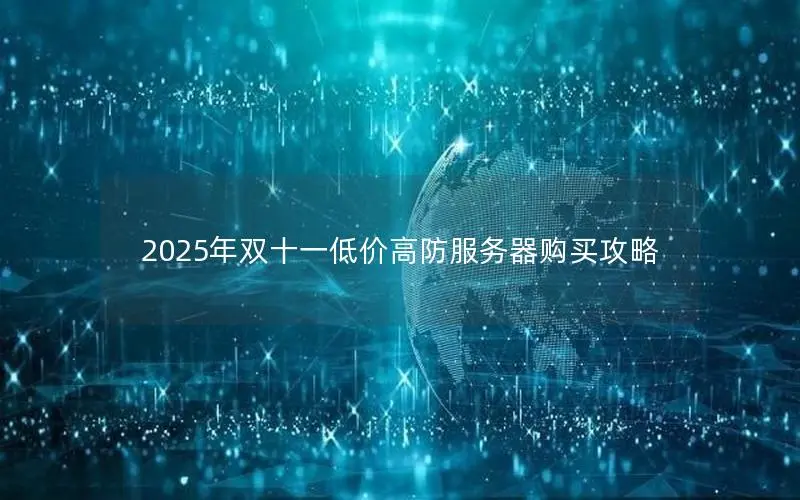 2025年双十一低价高防服务器购买攻略