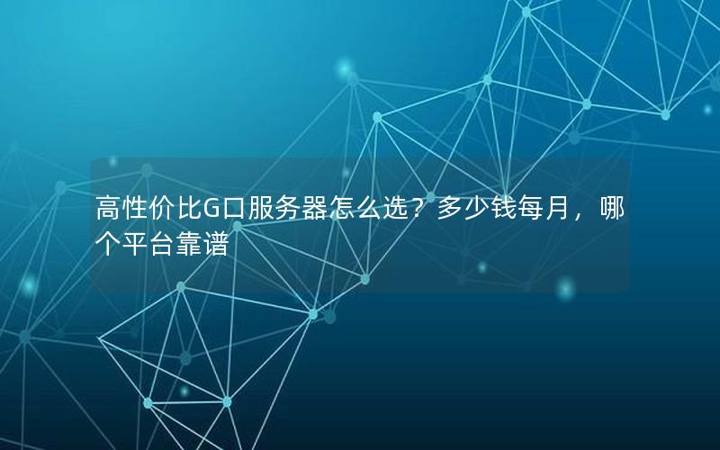 高性价比G口服务器怎么选？多少钱每月，哪个平台靠谱