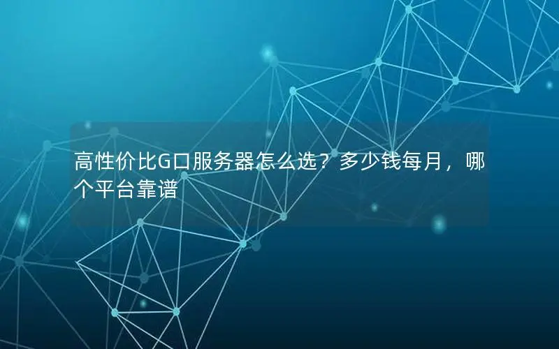 高性价比G口服务器怎么选？多少钱每月，哪个平台靠谱