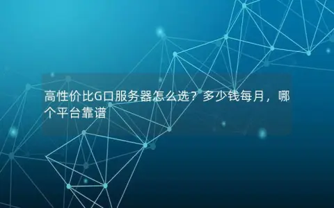 高性价比G口服务器怎么选？多少钱每月，哪个平台靠谱