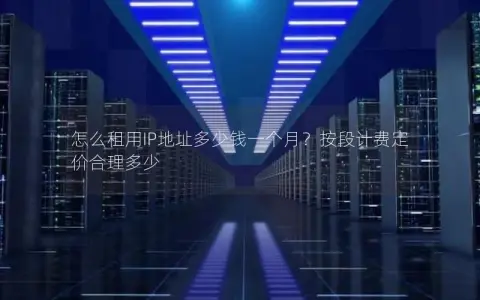 怎么租用IP地址多少钱一个月？按段计费定价合理多少