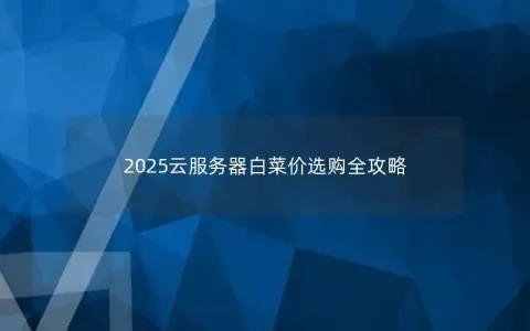 2025云服务器白菜价选购全攻略