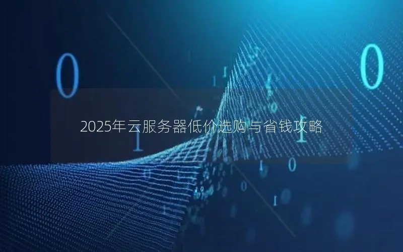 2025年云服务器低价选购与省钱攻略 2025年云服务器低价选购与省钱攻略