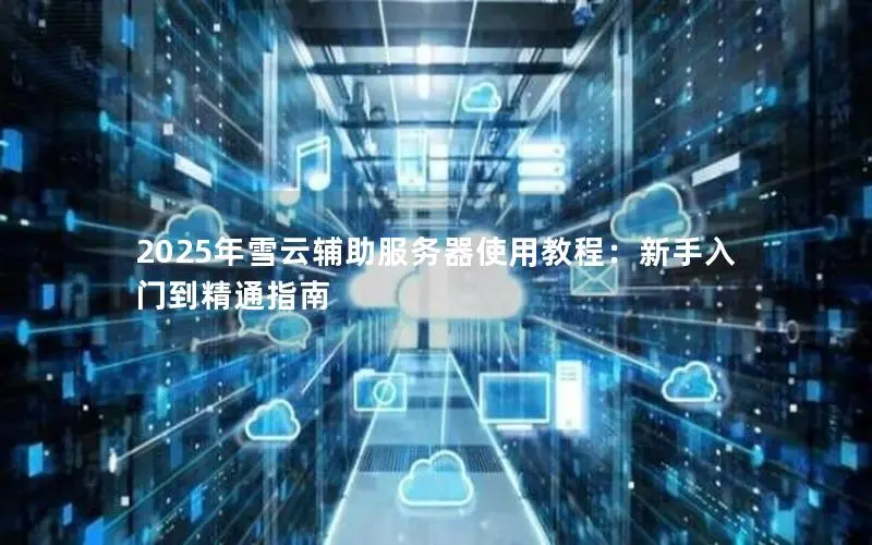 2025年雪云辅助服务器使用教程：新手入门到精通指南