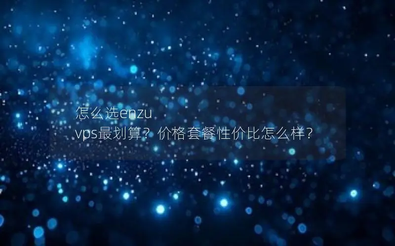 怎么选enzu vps最划算？价格套餐性价比怎么样？
