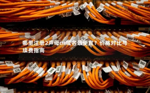 哪里注册2声母cn域名最便宜？价格对比与续费指南