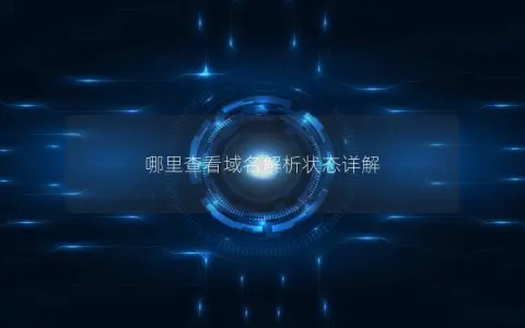哪里查看域名解析状态详解