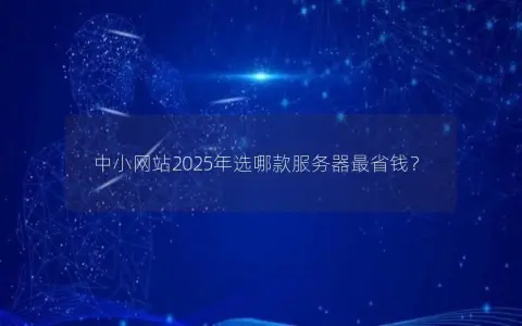 中小网站2025年选哪款服务器最省钱？