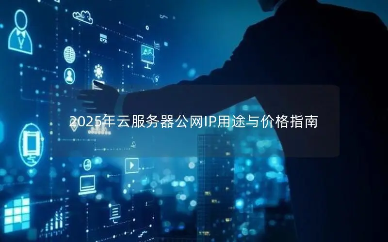 2025年云服务器公网IP用途与价格指南 2025年云服务器公网IP用途与价格指南