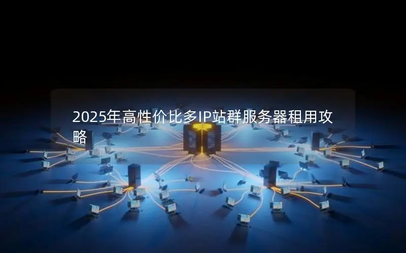 2025年高性价比多IP站群服务器租用攻略 2025年高性价比多IP站群服务器租用攻略