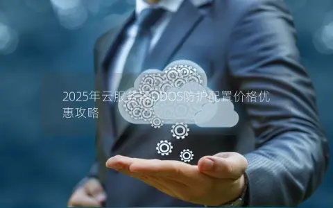 2025年云服务器DDOS防护配置价格优惠攻略