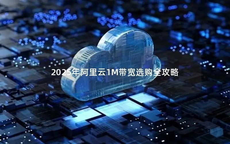 2025年阿里云1M带宽选购全攻略 2025年阿里云1M带宽选购全攻略